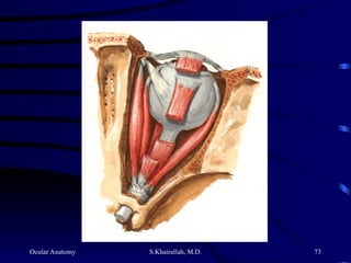 Ocular Anatomy S.Khairallah, M.D. 73
 
