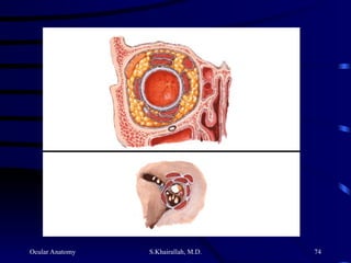 Ocular Anatomy S.Khairallah, M.D. 74
 