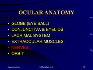 Ocular Anatomy S.Khairallah, M.D. 75
OCULAR ANATOMY
OCULAR ANATOMY
• GLOBE (EYE BALL)
• CONJUNCTIVA & EYELIDS
• LACRIMAL SYSTEM
• EXTRAOCULAR MUSCLES
• NERVES
• ORBIT
 