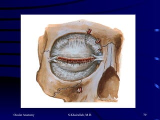 Ocular Anatomy S.Khairallah, M.D. 79
 