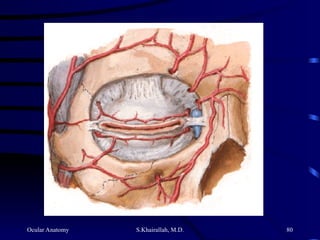Ocular Anatomy S.Khairallah, M.D. 80
 