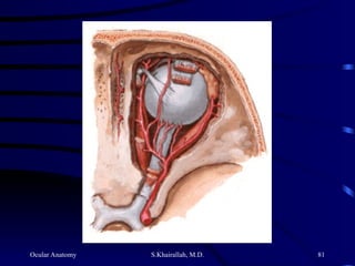 Ocular Anatomy S.Khairallah, M.D. 81
 