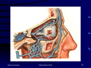 Ocular Anatomy S.Khairallah, M.D. 82
 