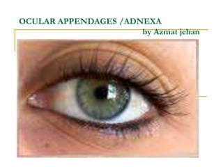 OCULAR APPENDAGES /ADNEXA
by Azmat jehan
 