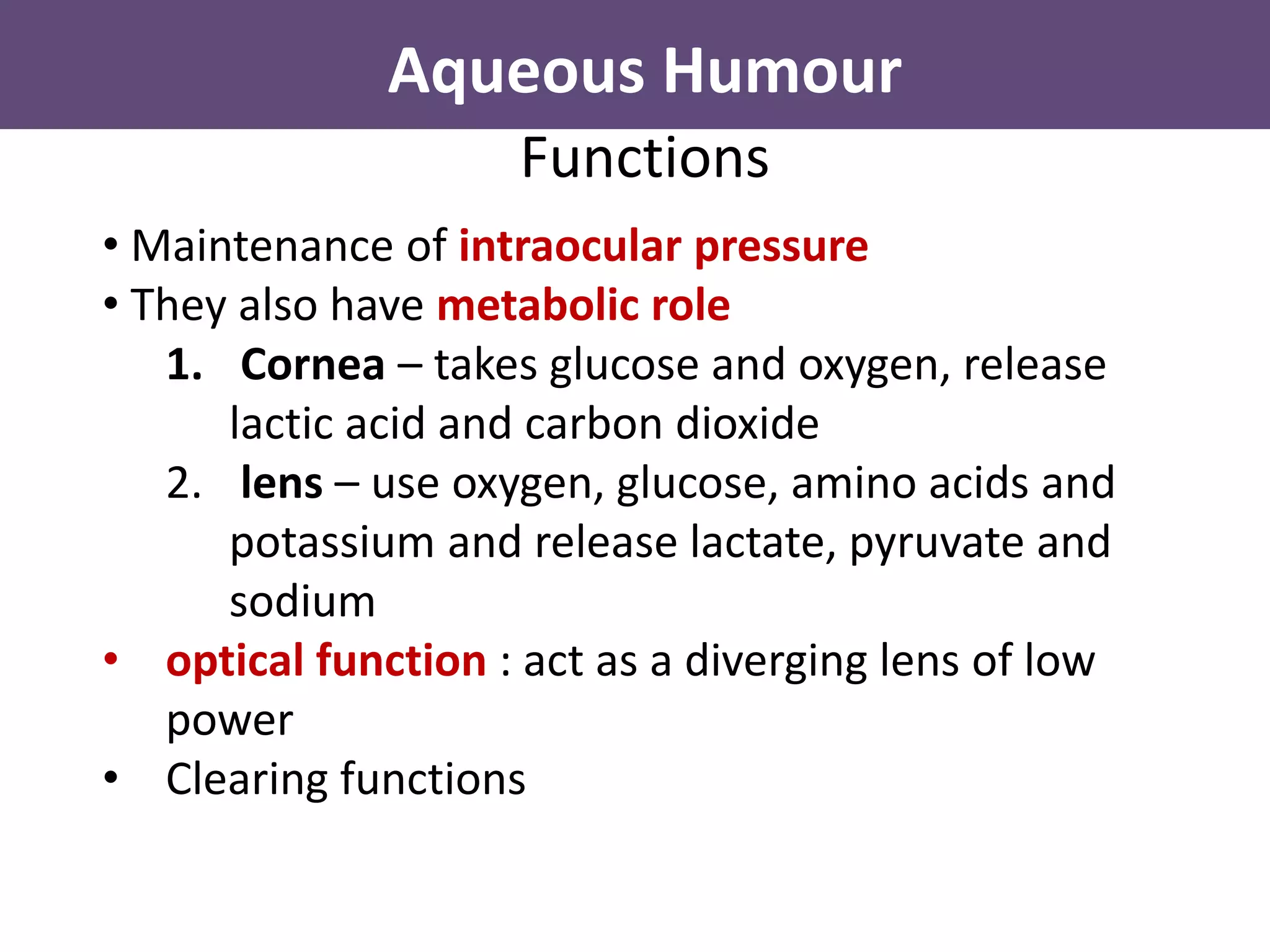 Ocular biochemistry | PDF