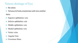 Venous drainage of Eye
 No valves
 Tortuous & freely anastomose with one another
Veins
 Superior ophthalmic vein
 Inferior ophthalmic vein
 Middle ophthalmic vein
 Medial ophthalmic vein
 Vortex veins
 Angular Vein
 Cavernous Sinus
 