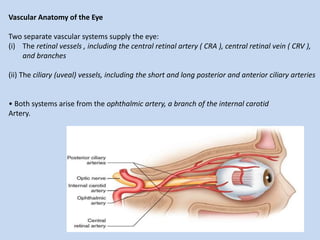 Vascular Anatomy of the Eye
Two separate vascular systems supply the eye:
(i) The retinal vessels , including the central retinal artery ( CRA ), central retinal vein ( CRV ),
and branches
(ii) The ciliary (uveal) vessels, including the short and long posterior and anterior ciliary arteries
• Both systems arise from the ophthalmic artery, a branch of the internal carotid
Artery.
 