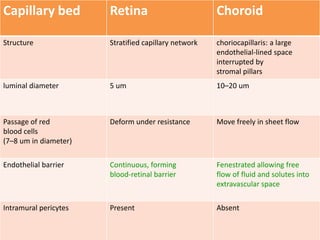 Capillary bed Retina Choroid
Structure Stratified capillary network choriocapillaris: a large
endothelial-lined space
interrupted by
stromal pillars
luminal diameter 5 um 10–20 um
Passage of red
blood cells
(7–8 um in diameter)
Deform under resistance Move freely in sheet flow
Endothelial barrier Continuous, forming
blood-retinal barrier
Fenestrated allowing free
flow of fluid and solutes into
extravascular space
Intramural pericytes Present Absent
 
