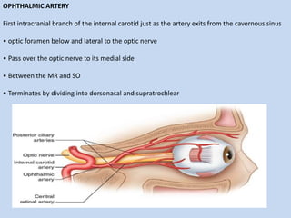 OPHTHALMIC ARTERY
First intracranial branch of the internal carotid just as the artery exits from the cavernous sinus
• optic foramen below and lateral to the optic nerve
• Pass over the optic nerve to its medial side
• Between the MR and SO
• Terminates by dividing into dorsonasal and supratrochlear
 