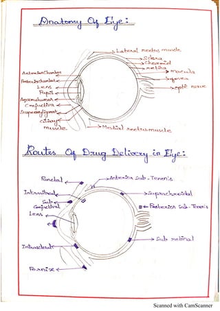 Ocular drug delivery system | PDF