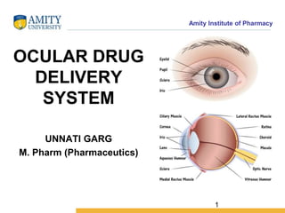 Amity Institute of Pharmacy
OCULAR DRUG
DELIVERY
SYSTEM
UNNATI GARG
M. Pharm (Pharmaceutics)
1
 