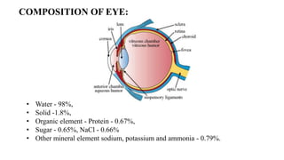 OCULAR DRUG DELIVERY SYSTEM.pptx