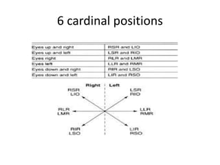 6 cardinal positions
 