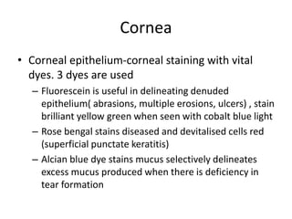 Cornea
• Corneal epithelium-corneal staining with vital
dyes. 3 dyes are used
– Fluorescein is useful in delineating denuded
epithelium( abrasions, multiple erosions, ulcers) , stain
brilliant yellow green when seen with cobalt blue light
– Rose bengal stains diseased and devitalised cells red
(superficial punctate keratitis)
– Alcian blue dye stains mucus selectively delineates
excess mucus produced when there is deficiency in
tear formation
 
