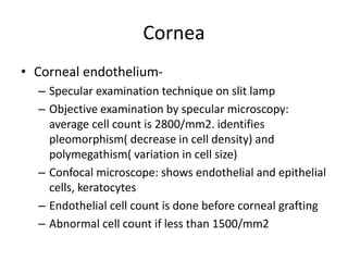 Cornea
• Corneal endothelium-
– Specular examination technique on slit lamp
– Objective examination by specular microscopy:
average cell count is 2800/mm2. identifies
pleomorphism( decrease in cell density) and
polymegathism( variation in cell size)
– Confocal microscope: shows endothelial and epithelial
cells, keratocytes
– Endothelial cell count is done before corneal grafting
– Abnormal cell count if less than 1500/mm2
 