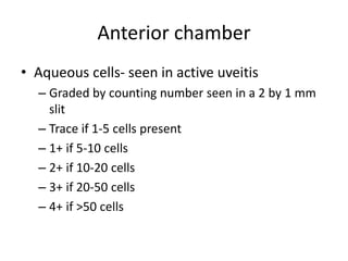 Anterior chamber
• Aqueous cells- seen in active uveitis
– Graded by counting number seen in a 2 by 1 mm
slit
– Trace if 1-5 cells present
– 1+ if 5-10 cells
– 2+ if 10-20 cells
– 3+ if 20-50 cells
– 4+ if >50 cells
 