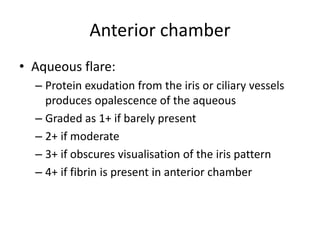 Anterior chamber
• Aqueous flare:
– Protein exudation from the iris or ciliary vessels
produces opalescence of the aqueous
– Graded as 1+ if barely present
– 2+ if moderate
– 3+ if obscures visualisation of the iris pattern
– 4+ if fibrin is present in anterior chamber
 