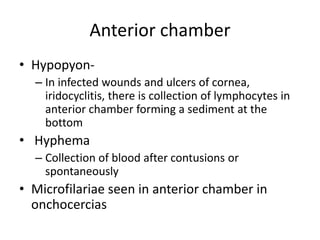 Anterior chamber
• Hypopyon-
– In infected wounds and ulcers of cornea,
iridocyclitis, there is collection of lymphocytes in
anterior chamber forming a sediment at the
bottom
• Hyphema
– Collection of blood after contusions or
spontaneously
• Microfilariae seen in anterior chamber in
onchocercias
 