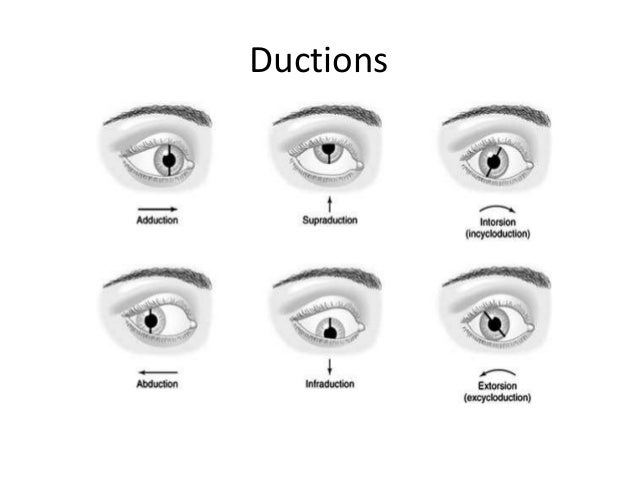 image eye 6/6 test examination Ocular image eye 6/6 test examination Ocular