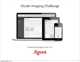 Ocular Imaging Challenge




                              Presented by Agent Labs, LLC




                                           1
Sunday, November 11, 12
 