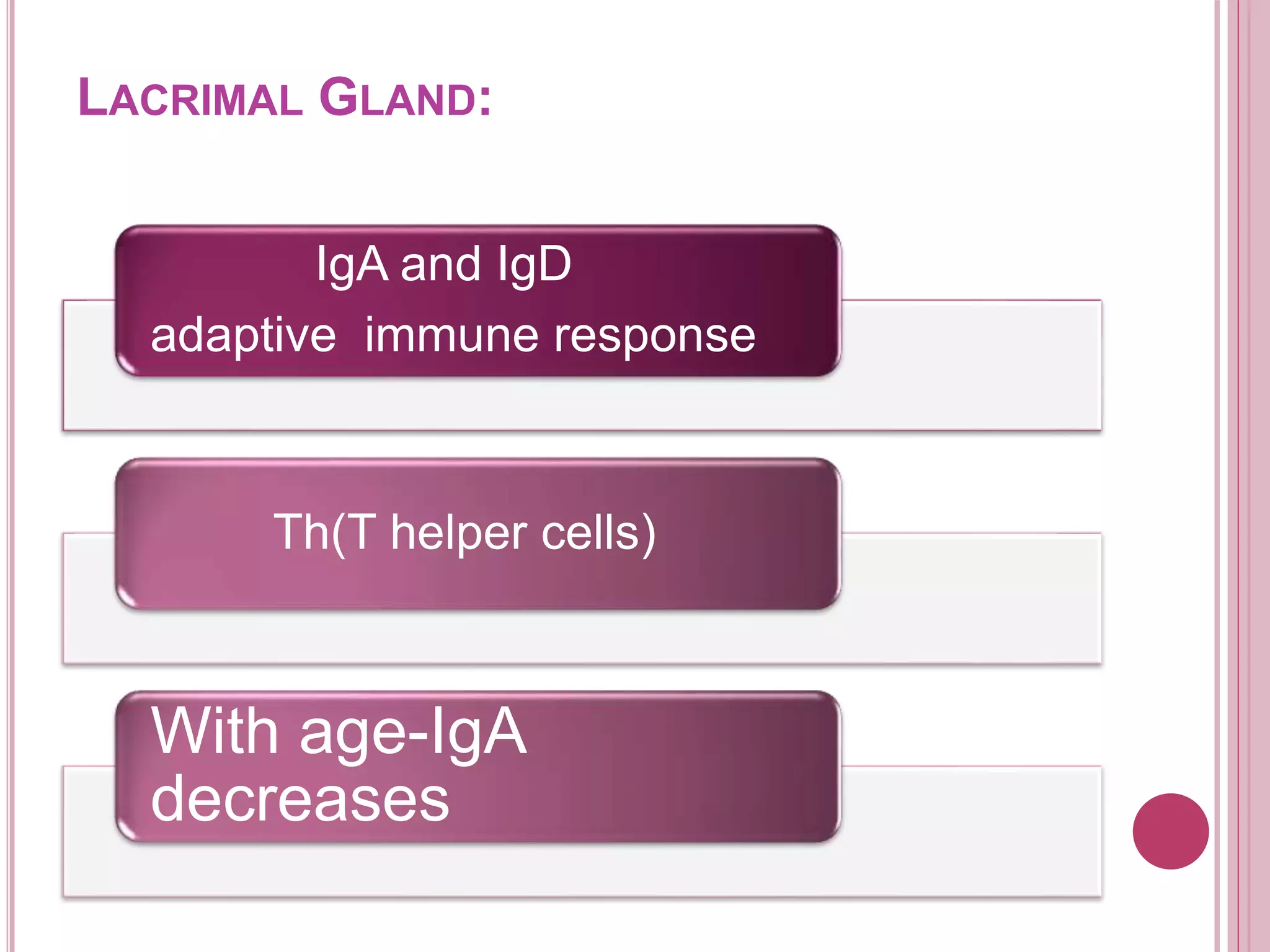LACRIMAL GLAND:
IgA and IgD
adaptive immune response
Th(T helper cells)
With age-IgA
decreases
 