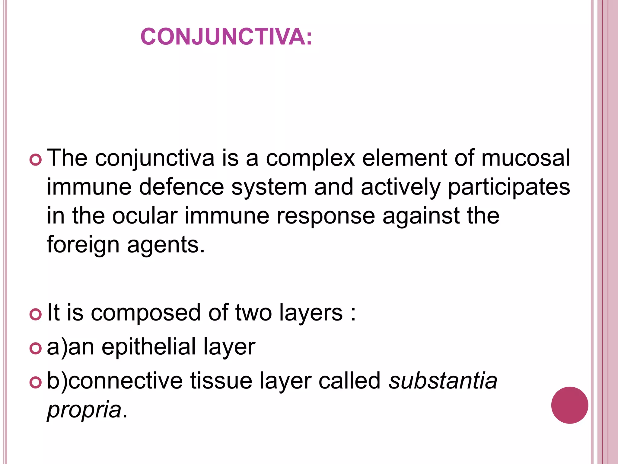 CONJUNCTIVA:
 The conjunctiva is a complex element of mucosal
immune defence system and actively participates
in the ocular immune response against the
foreign agents.
 It is composed of two layers :
 a)an epithelial layer
 b)connective tissue layer called substantia
propria.
 