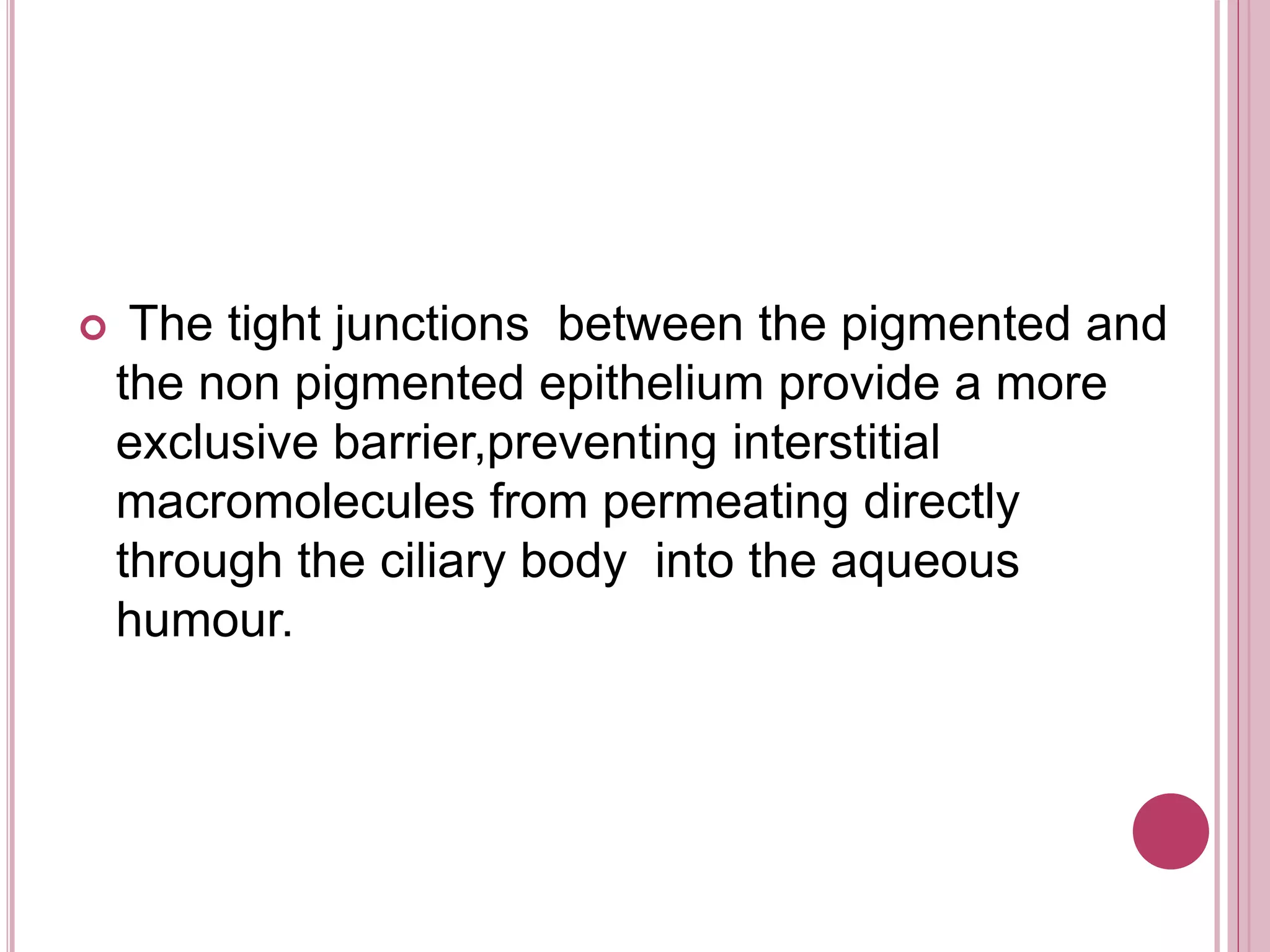  The tight junctions between the pigmented and
the non pigmented epithelium provide a more
exclusive barrier,preventing interstitial
macromolecules from permeating directly
through the ciliary body into the aqueous
humour.
 