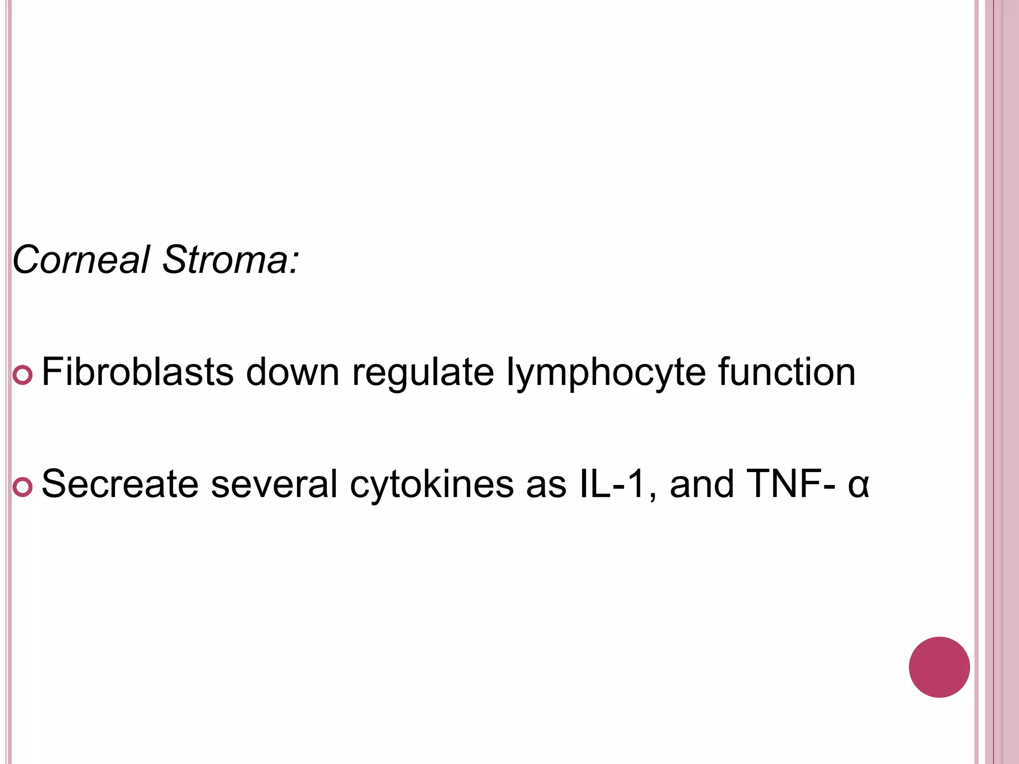 Corneal Stroma:
 Fibroblasts down regulate lymphocyte function
 Secreate several cytokines as IL-1, and TNF- α
 