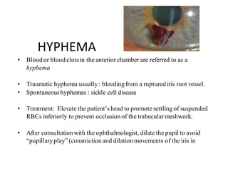 HYPHEMA
• Blood or blood clotsin the anterior chamber are referred to as a
hyphema
• Traumatic hyphema usually: bleedingfrom a ruptured iris root vessel.
• Spontaneoushyphemas : sickle cell disease
• Treatment: Elevate the patient’s head to promote settling of suspended
RBCs inferiorly to prevent occlusion of the trabecularmeshwork.
• After consultationwith the ophthalmologist, dilate the pupil to avoid
“pupillaryplay” (constriction and dilation movements of the iris in
 