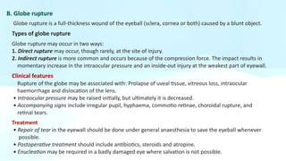 OCULAR INJURIES | PDF