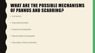 WHAT ARE THE POSSIBLE MECHANISMS
OF PANNUS AND SCARRING?
• Lid lesions
• Interstitial keratitis
• Exposure keratopathy
• Neurotrophic keratopathy
• Secondary infective keratitis
 