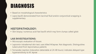 DIAGNOSIS
• Based on morphological characteristics
• Lepra bacilli demonstrated from lacrimal fluid and/or conjunctival scrapping is
supplementary
HISTOPATHOLOGY:
• Skin biopsy: numerous acid-fast bacilli which may form clumps called globi
LAB INVESTIGATIONS:
• Microscopic evaluation of tissues
• Lepromin-intradermal skin test: uses killed M.leprae. Not diagnostic. Distinguishes
tuberculoid from lepromatous patients
• Fernandez reaction (induration detectable at 24-48 hours): indicates delayed-type
hypersensitivity to M. leprae
 