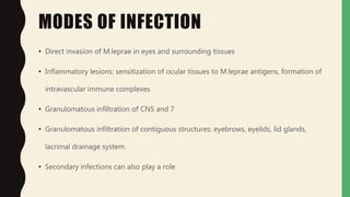 MODES OF INFECTION
• Direct invasion of M.leprae in eyes and surrounding tissues
• Inflammatory lesions: sensitization of ocular tissues to M.leprae antigens, formation of
intravascular immune complexes
• Granulomatous infiltration of CN5 and 7
• Granulomatous infiltration of contiguous structures: eyebrows, eyelids, lid glands,
lacrimal drainage system.
• Secondary infections can also play a role
 