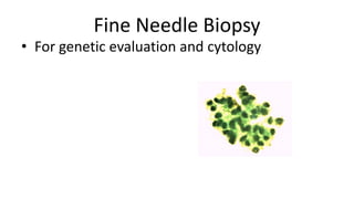 Fine Needle Biopsy
• For genetic evaluation and cytology
 