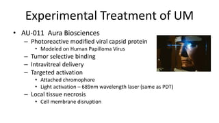 Experimental Treatment of UM
• AU-011 Aura Biosciences
– Photoreactive modified viral capsid protein
• Modeled on Human Papilloma Virus
– Tumor selective binding
– Intravitreal delivery
– Targeted activation
• Attached chromophore
• Light activation – 689nm wavelength laser (same as PDT)
– Local tissue necrosis
• Cell membrane disruption
 