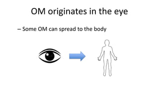 OM originates in the eye
– Some OM can spread to the body
 