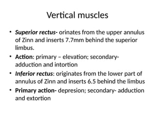 Intortion OCULAR MOTILITY.pptx ocular motility slit | PPTX