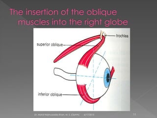 6/17/2015Dr. Mohd Najmussadiq Khan, M. S. (Ophth) 11
 