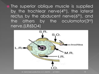  The superior oblique muscle is supplied
by the trochlear nerve(4th), the lateral
rectus by the abducent nerve(6th), and
the others by the oculomotor(3rd)
nerve.(LR6SO4)
6/17/2015Dr. Mohd Najmussadiq Khan, M. S. (Ophth) 12
 