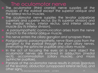 The oculomotor (third cranial) nerve supplies all the
muscles of the eyeball except the superior oblique and
the lateral rectus muscles.
 The oculomotor nerve supplies the levator palpebrae
superioris and superior rectus (by its superior division) and
the medial rectus, inferior rectus, and inferior oblique
muscle (by its inferior division).
 A parasympathetic communication arises from the nerve
branch to the inferior oblique muscle.
 This nerve enters the ciliary ganglion and synapses there.
 Postganglionic parasympathetic nerve fibers pass from the
ganglion to the eyeball through the short cilliary nerves,
innervating the sphincter pupillae and ciliary muscle.
 In the act of focusing the eyes on a near object the
oculomotor nerves are involved in adduction (medial
recti), accommodation (ciliary muscle), and miosis
(sphincter pupillae).
 Paralysis of the oculomotor nerve results in ptosis (paralysis
of the levator), abduction (unopposed lateral rectus), and
other signs. 6/17/2015Dr. Mohd Najmussadiq Khan, M. S. (Ophth) 17
 