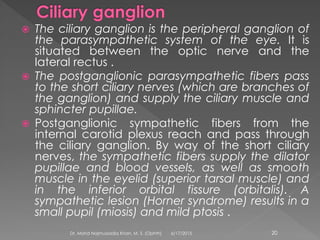  The ciliary ganglion is the peripheral ganglion of
the parasympathetic system of the eye. It is
situated between the optic nerve and the
lateral rectus .
 The postganglionic parasympathetic fibers pass
to the short ciliary nerves (which are branches of
the ganglion) and supply the ciliary muscle and
sphincter pupillae.
 Postganglionic sympathetic fibers from the
internal carotid plexus reach and pass through
the ciliary ganglion. By way of the short ciliary
nerves, the sympathetic fibers supply the dilator
pupillae and blood vessels, as well as smooth
muscle in the eyelid (superior tarsal muscle) and
in the inferior orbital fissure (orbitalis). A
sympathetic lesion (Horner syndrome) results in a
small pupil (miosis) and mild ptosis .
6/17/2015Dr. Mohd Najmussadiq Khan, M. S. (Ophth) 20
 