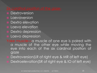 Six cardinal position of the gaze-
 Dextroversion
 Laevoversion
 Dextro elevation
 Laevo elevation
 Dextro depression
 Laevo depression
Yoke muscle—a muscle of one eye is paired with
a muscle of the other eye while moving the
eye into each of the six cardinal position of
gaze
 Dextroversion(LR of right eye & MR of left eye)
 Dextroelevation(SR of right eye & IO of left eye)
6/17/2015Dr. Mohd Najmussadiq Khan, M. S. (Ophth) 23
 