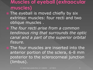  The eyeball is moved chiefly by six
extrinsic muscles: four recti and two
oblique muscles .
 The four recti arise from a common
tendinous ring that surrounds the optic
canal and a part of the superior orbital
fissure.
 The four muscles are inserted into the
anterior portion of the sclera, 6-8 mm
posterior to the sclerocorneal junction
(limbus).
6/17/2015Dr. Mohd Najmussadiq Khan, M. S. (Ophth) 6
 