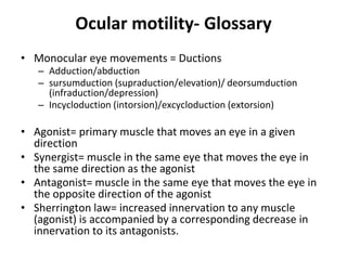 Infraduction Ocular Motility- The Clinical | PPTX