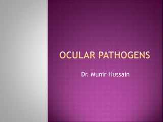 Dr. Munir Hussain
 