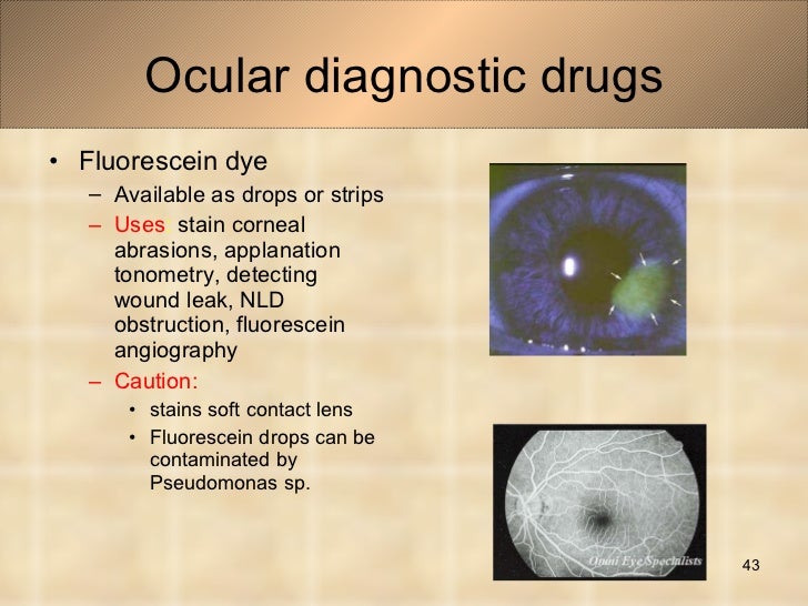 Ocular Pharmacology