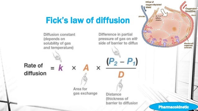 Ocular pharmacology