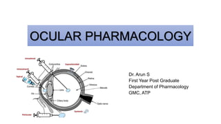 OCULAR PHARMACOLOGY
Dr. Arun S
First Year Post Graduate
Department of Pharmacology
GMC, ATP
 