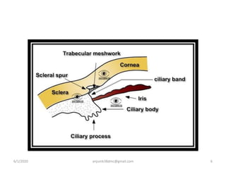6/1/2020 anjumk38dmc@gmail.com 6
 