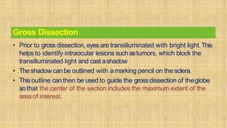 Ocular pharmacology [autosaved] | PPTX